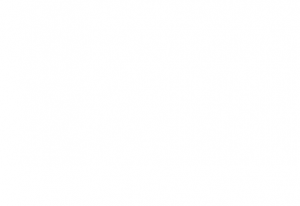 Massimo Logo